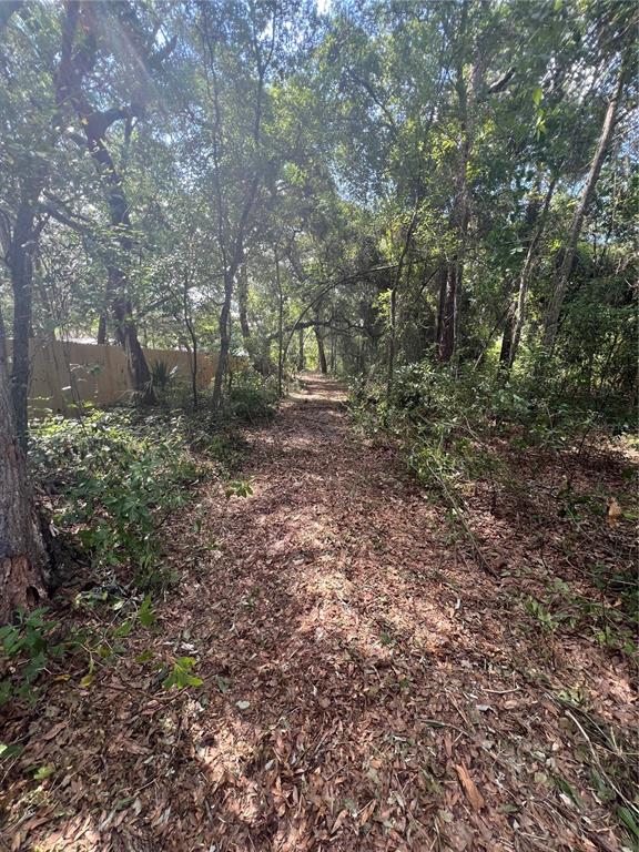 1963 Highway 20 Hawthorne, FL 32640 - Photo 4 of 12 a view of a yard with large trees