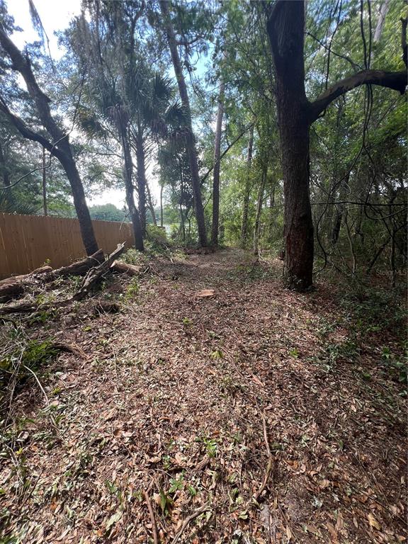 1963 Highway 20 Hawthorne, FL 32640 - Photo 5 of 12 a big yard with lots of green space