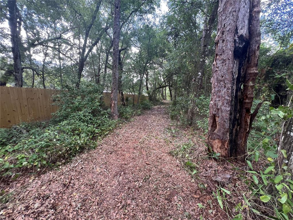 1963 Highway 20 Hawthorne, FL 32640 - Photo 8 of 12 a view of a forest that has large trees
