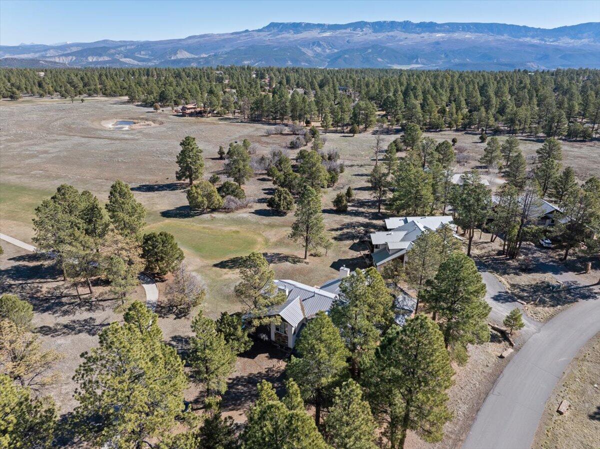 51 Red Fox Lane Ridgway, CO 81432 - Photo 31 of 31 31-DJI_20260321104610_0324_D