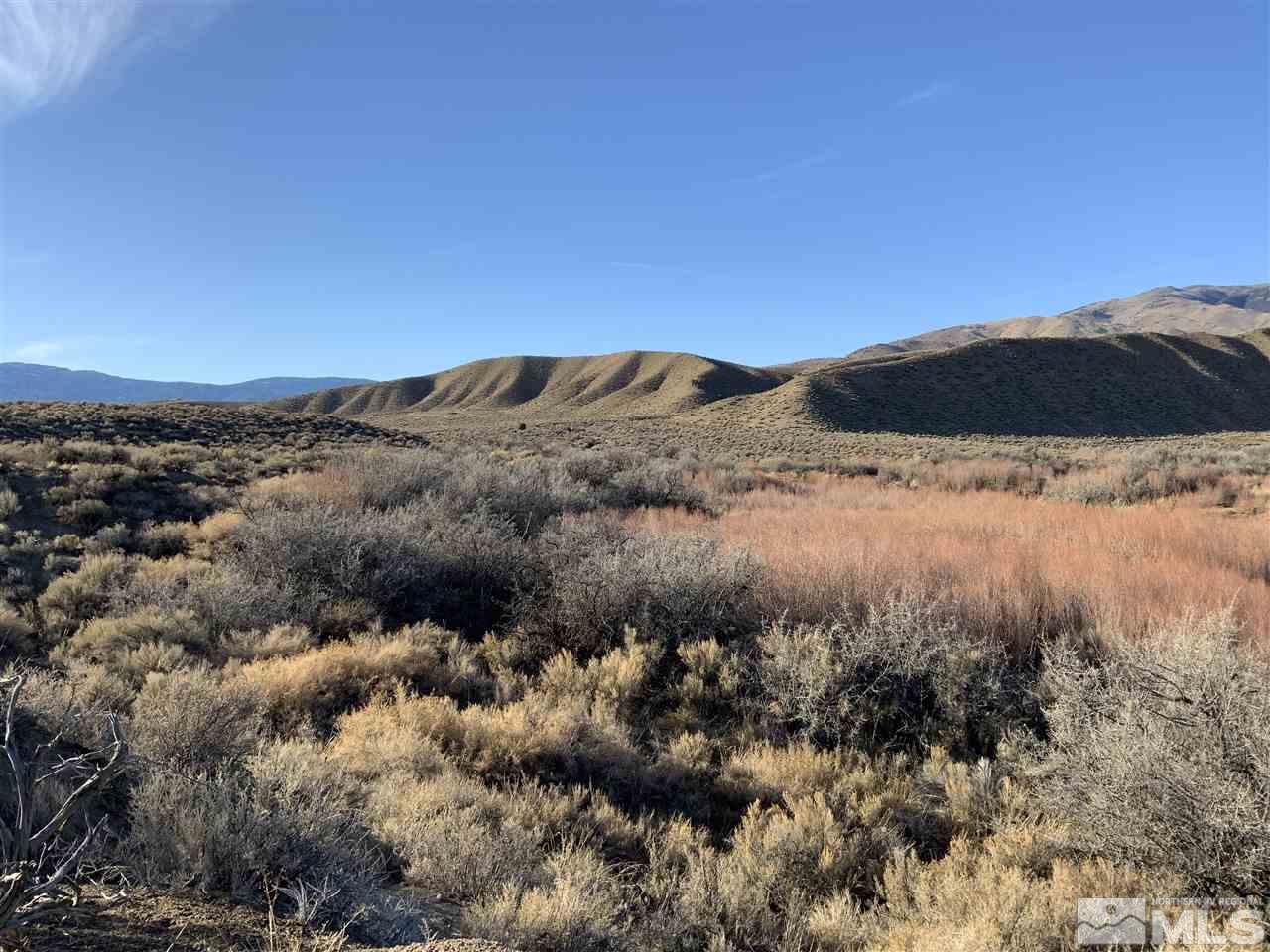Smith Valley Gardnerville, NV 89410 - Photo 2 of 7 Photo 2