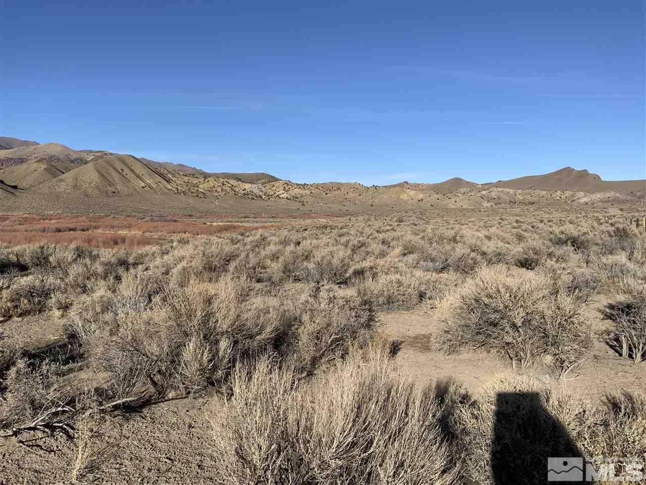 Smith Valley Gardnerville, NV 89410 - Photo 3 of 7 Photo 3