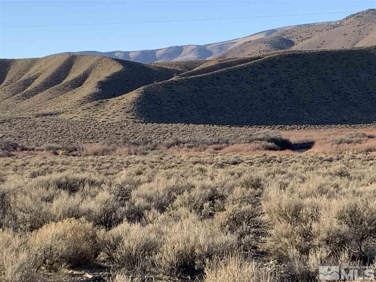 Smith Valley Gardnerville, NV 89410 - Photo 5 of 7 Photo 5
