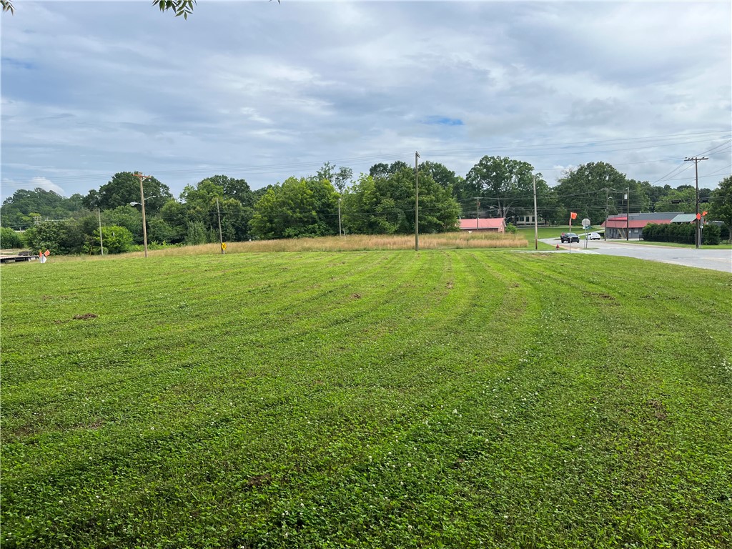 237 East Main Street Pendleton, SC 29670 - Photo 3 of 16 A verdant, well-maintained lot with street access, ready for development.