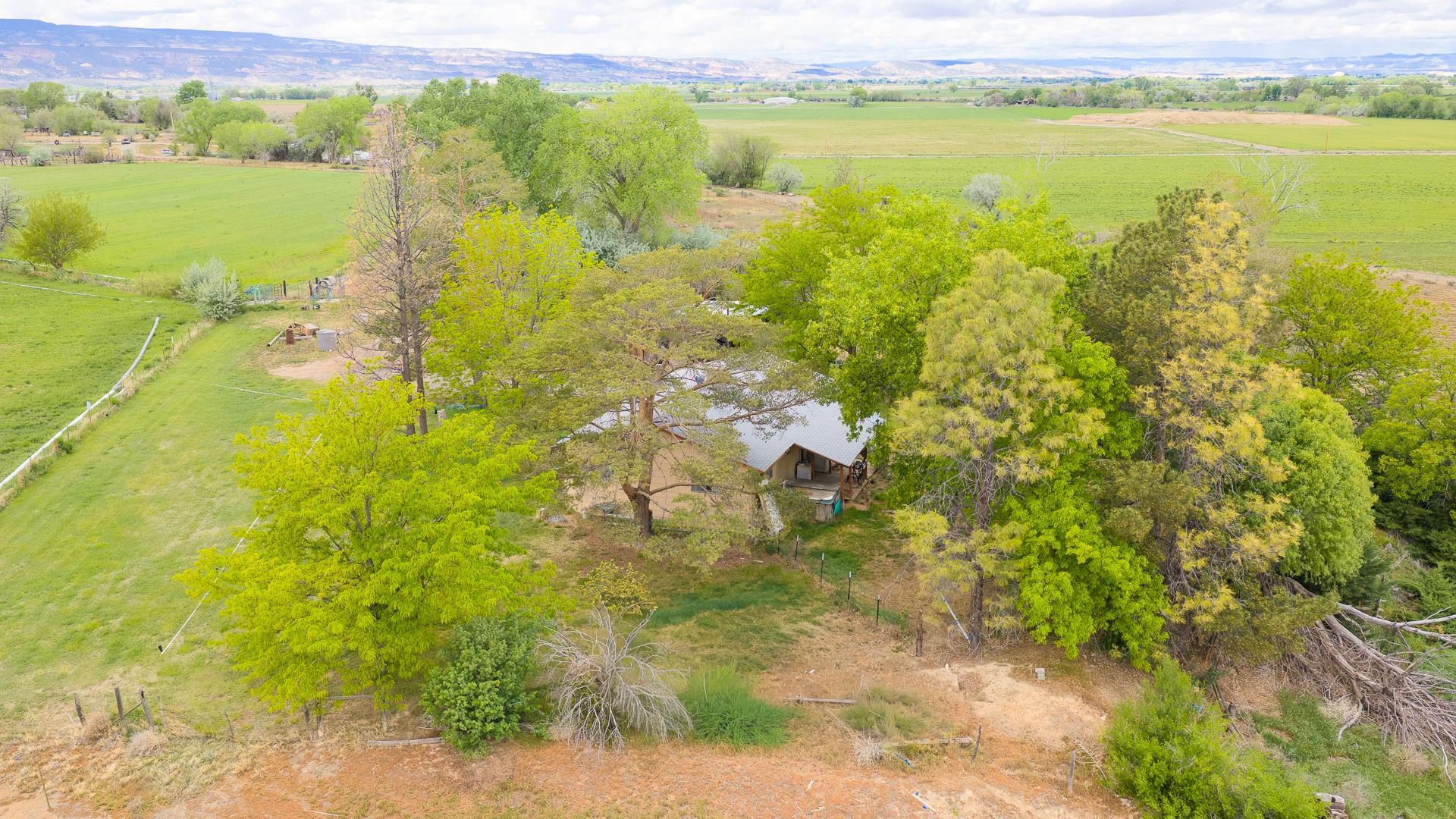 1212 22 Road Grand Junction, CO 81505 - Photo 30 of 34
