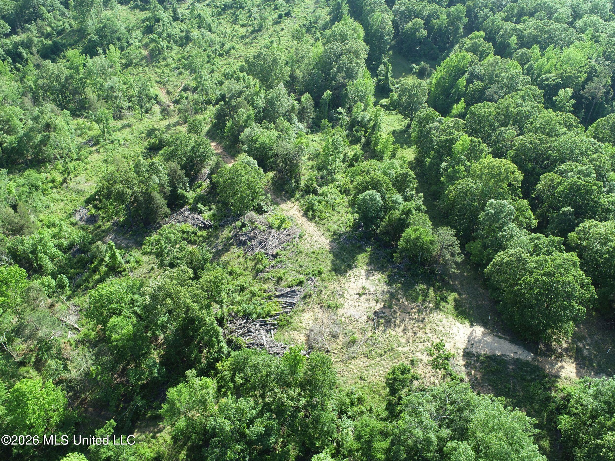 Wayne Massie Road Como, MS 38619 - Photo 58 of 184 3ctwmrd40