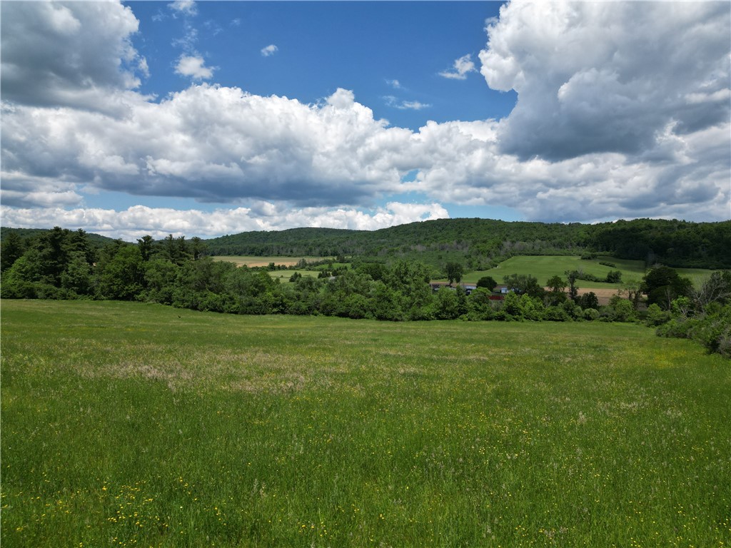 Karr Valley Road Almond, NY 14804 - Photo 8 of 11