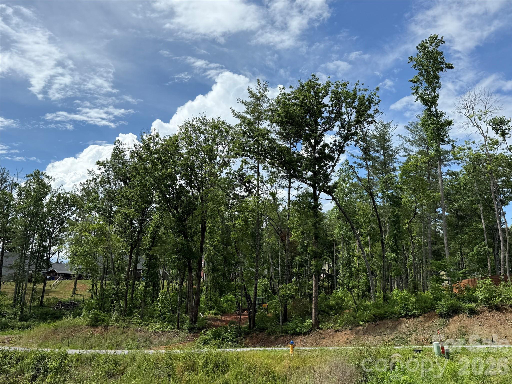207 Cascade Rdg Road Fairview, NC 28730 - Photo 1 of 2 a backyard of a house with lots of green space