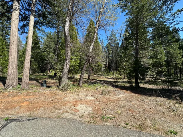 $102,900 | Lot 12 Speargrass Court, Shingletown, CA 96088