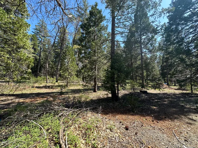 $102,900 | Lot 12 Speargrass Court, Shingletown, CA 96088