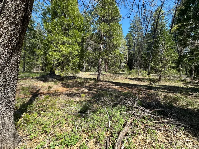 $102,900 | Lot 12 Speargrass Court, Shingletown, CA 96088