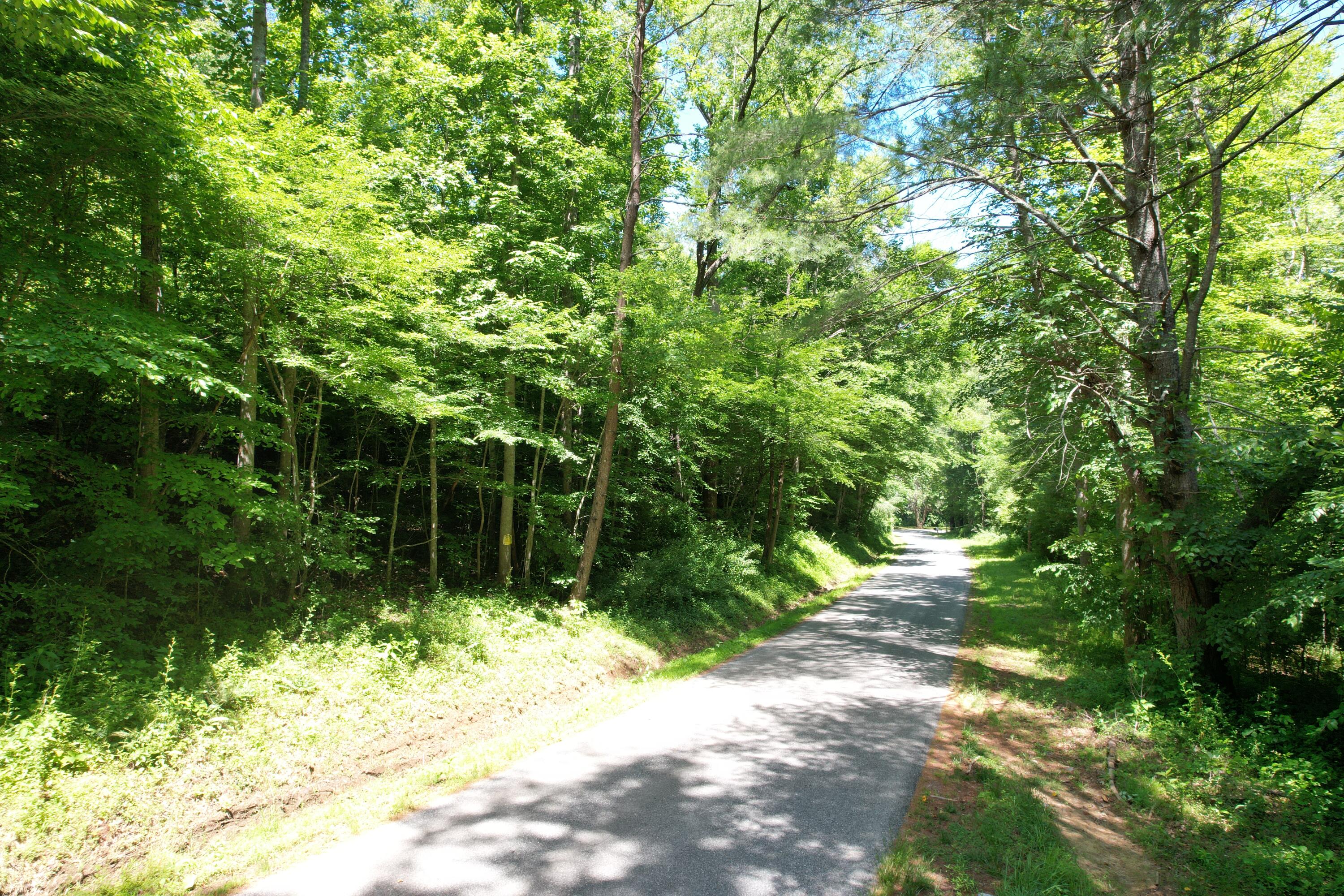 94 Bryants Lake Road Bassett, VA 24055 - Photo 45 of 46 DJI_0552