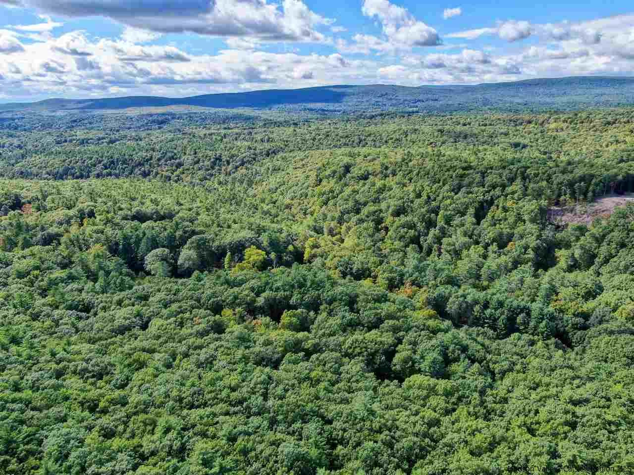 Tbd Beehive Road Accord, NY 12404 - Photo 13 of 14 a view of a lush green forest with lots of trees