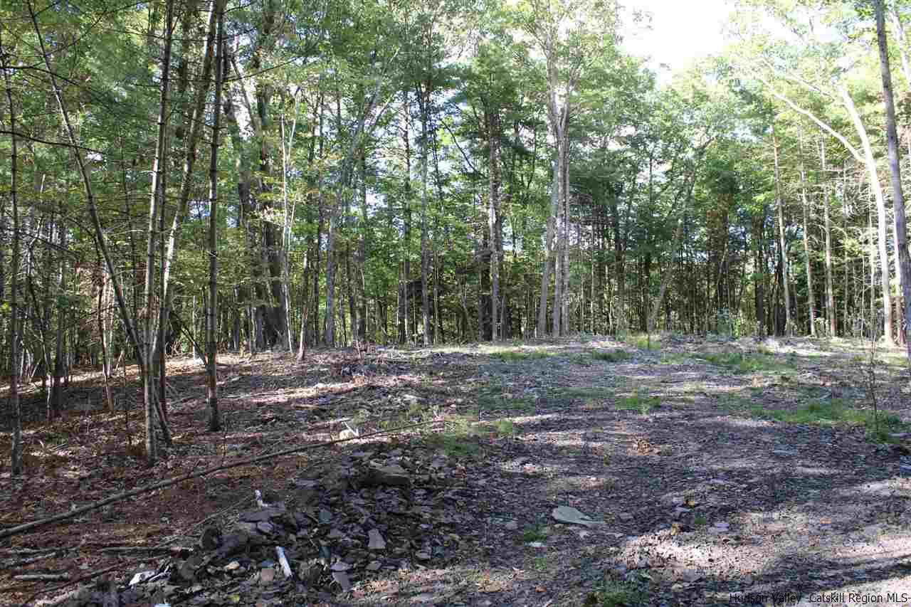Tbd Beehive Road Accord, NY 12404 - Photo 6 of 14 a view of a forest with trees in the background