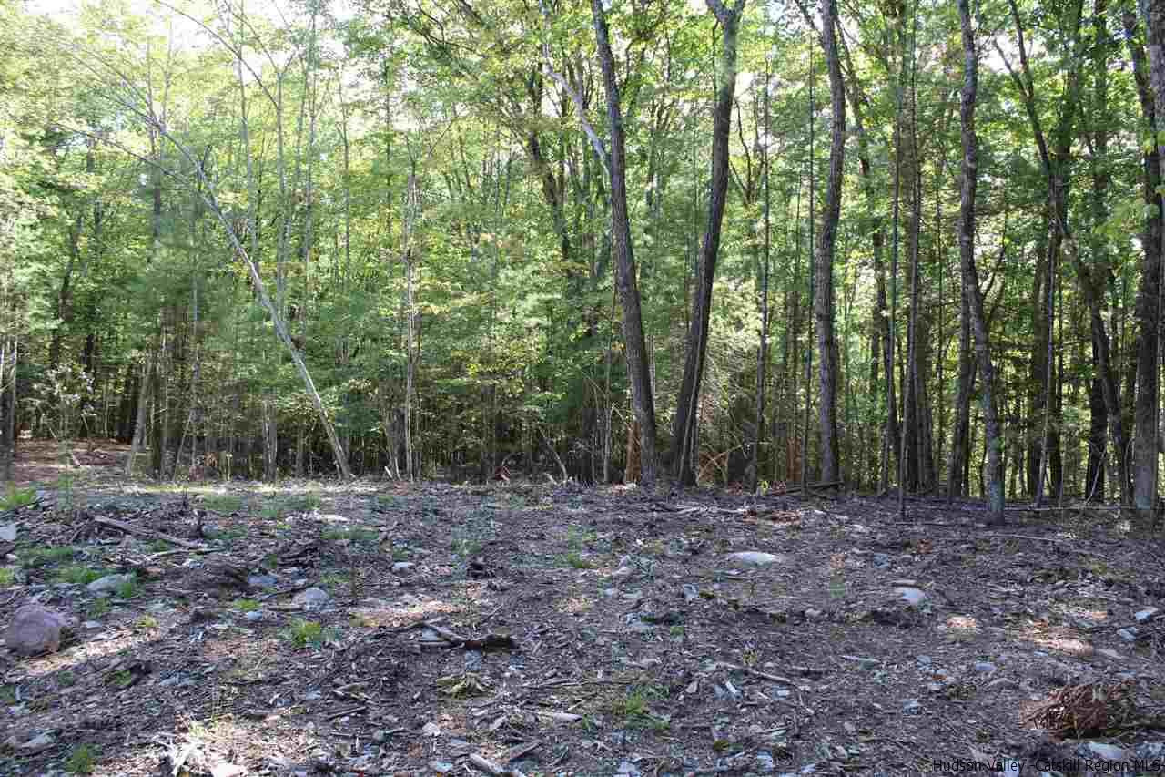 Tbd Beehive Road Accord, NY 12404 - Photo 7 of 14 a view of a forest with trees in the background