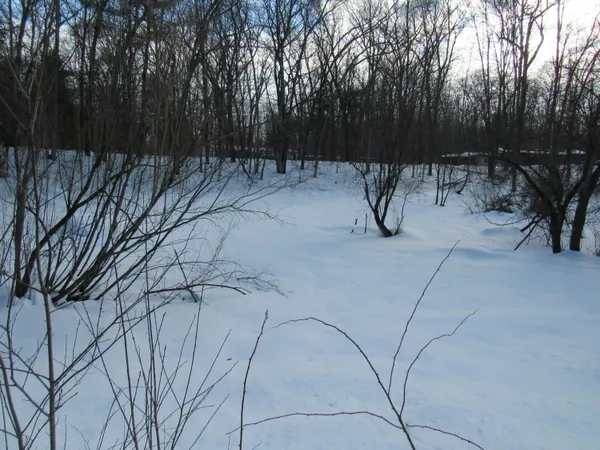 $7,800 | Marion Street, Wellston, MI 49689