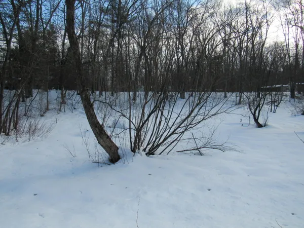 $7,800 | Marion Street, Wellston, MI 49689