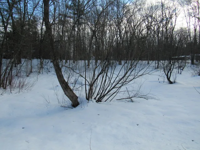 $10,000 | Marion Street, Wellston, MI 49689