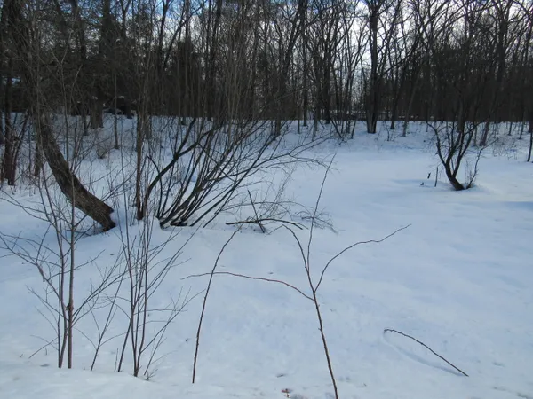 $7,800 | Marion Street, Wellston, MI 49689