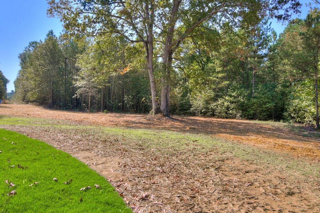 5330 Cemetery Road Grovetown, GA 30813 - Photo 43 of 51 Gallery Image 43