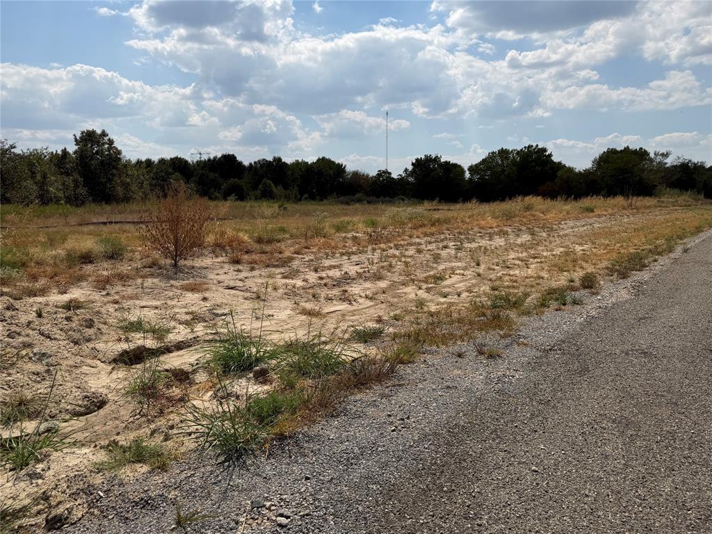 Lot 2 Co Road Farmersville, TX 75442 - Photo 4 of 12 Gallery Image 4
