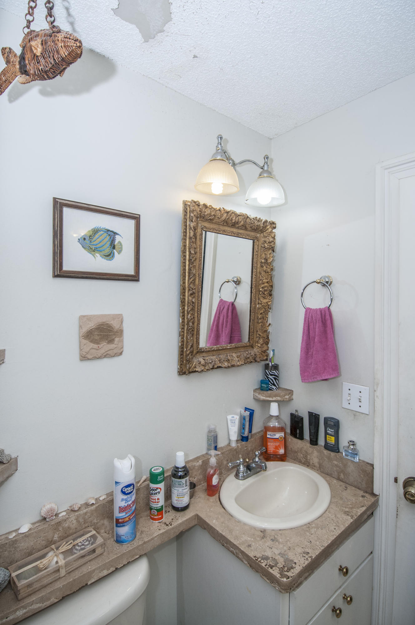 611 Schooner Road Charleston, SC 29412 - Photo 22 of 41 _DSC0151