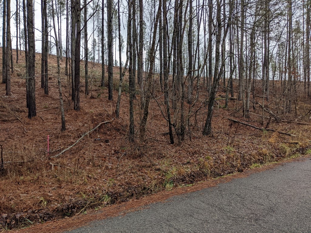 776 Dake Road Decatur, TN 37322 - Photo 2 of 15