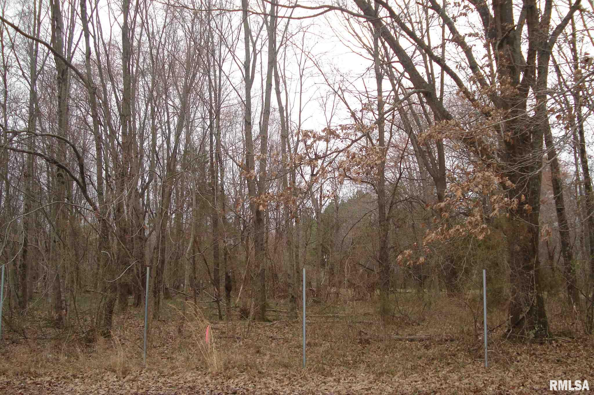 0 Binkley Road Marion, IL 62959 - Photo 6 of 6