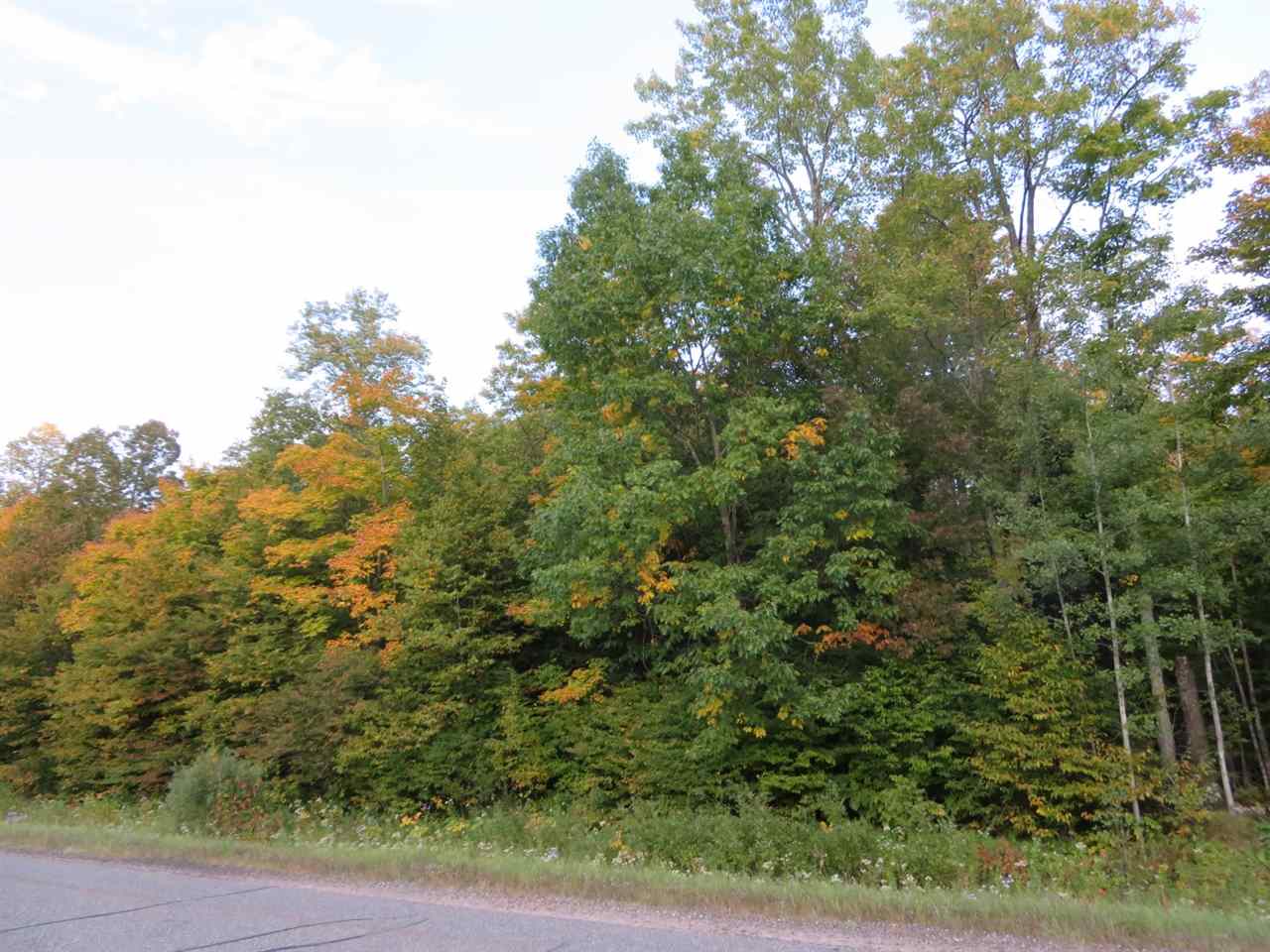 40-acres County Rd H Gleason, WI 54435 - Photo 1 of 1