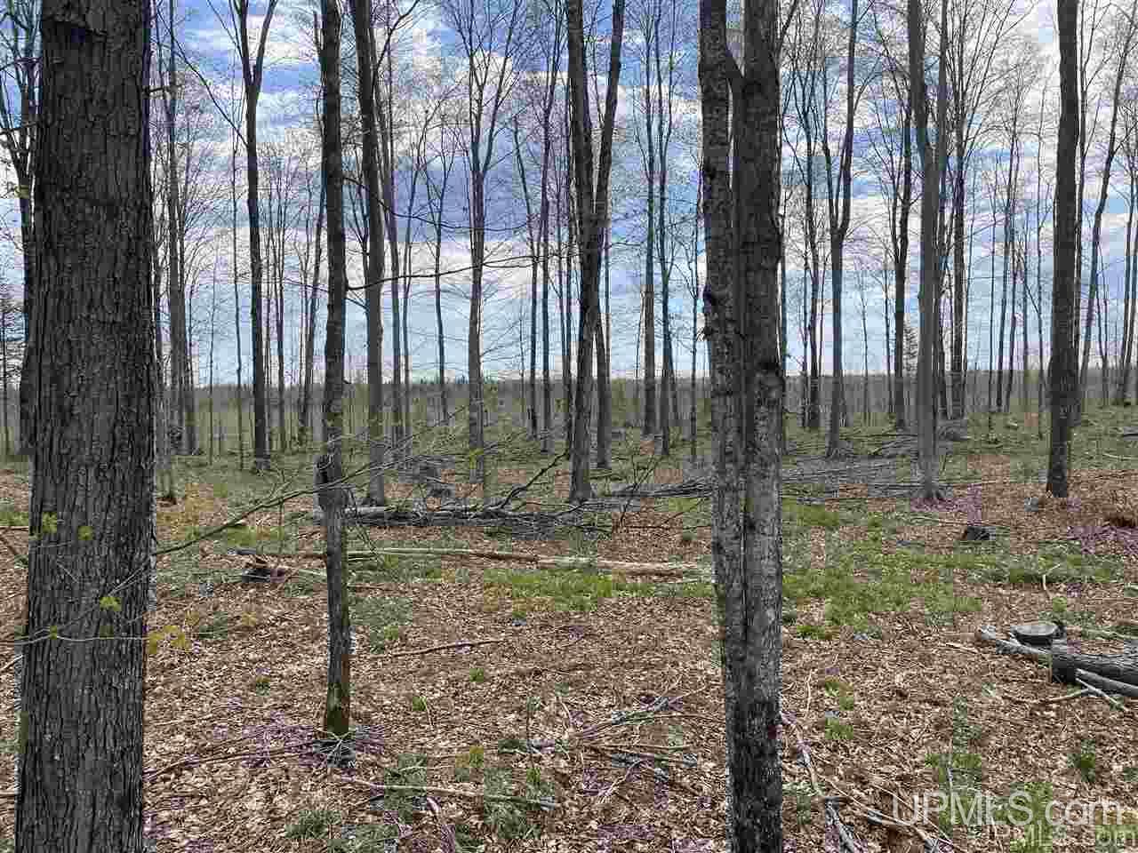Tbd Tbd Truax Road, Unit 1 Cornell, MI 49818 - Photo 25 of 43