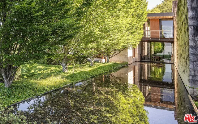 a view of a yard with potted plants