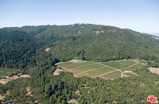 a picture of a lake view