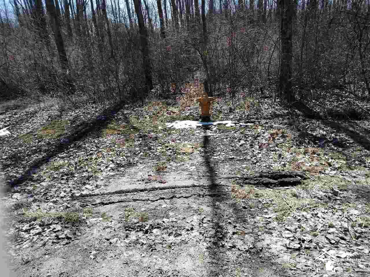 10-newburg Rd West 10-newburg Road Carleton, MI 48117 - Photo 2 of 3 31342620-1.JPG