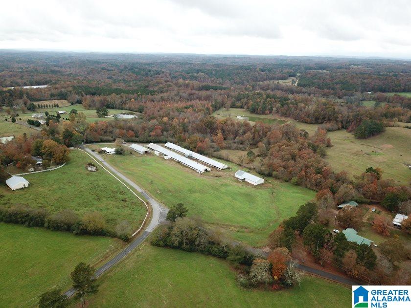1241 Reneau Road Oneonta, AL 35121 - Photo 9 of 50
