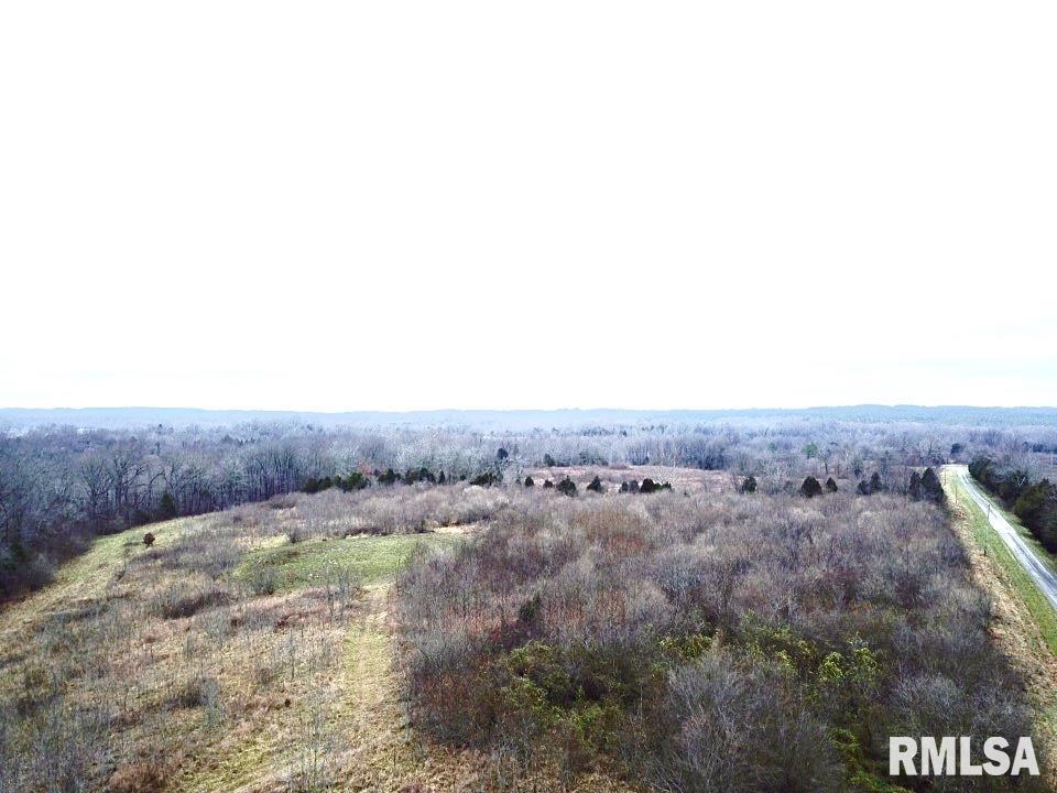 0 Belville Road Ozark, IL 62972 - Photo 2 of 2 Gallery Image 2