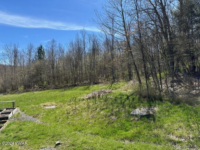 93 Rotten Road Equinunk, PA 18417 - Photo 28 of 30 Gallery Image 28