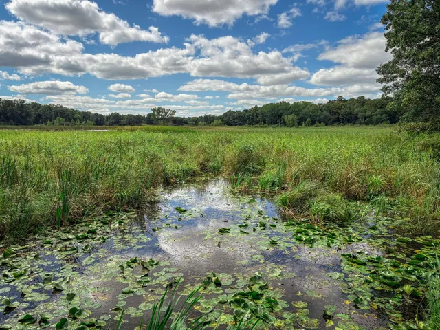 $859,900 | 13744 270th Street, Cold Spring, MN 56320