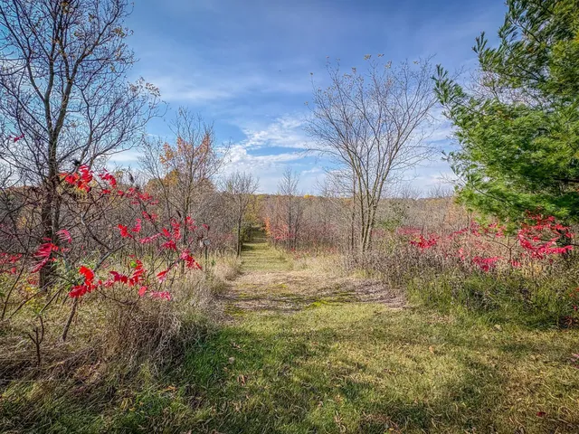 $859,900 | 13744 270th Street, Cold Spring, MN 56320