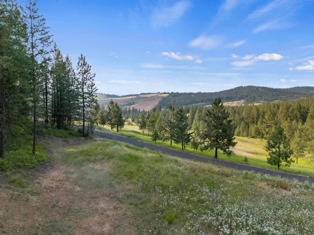 $1,450,000 | 10718 South Mica Vista Lane, Mica, WA 99023
