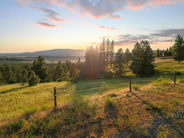 $1,450,000 | 10718 South Mica Vista Lane, Mica, WA 99023