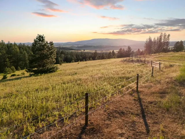 $1,450,000 | 10718 South Mica Vista Lane, Mica, WA 99023