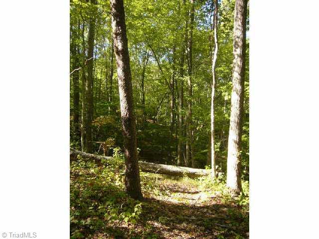 2 Trinity Church Road King, NC 27021 - Photo 2 of 3 Other.