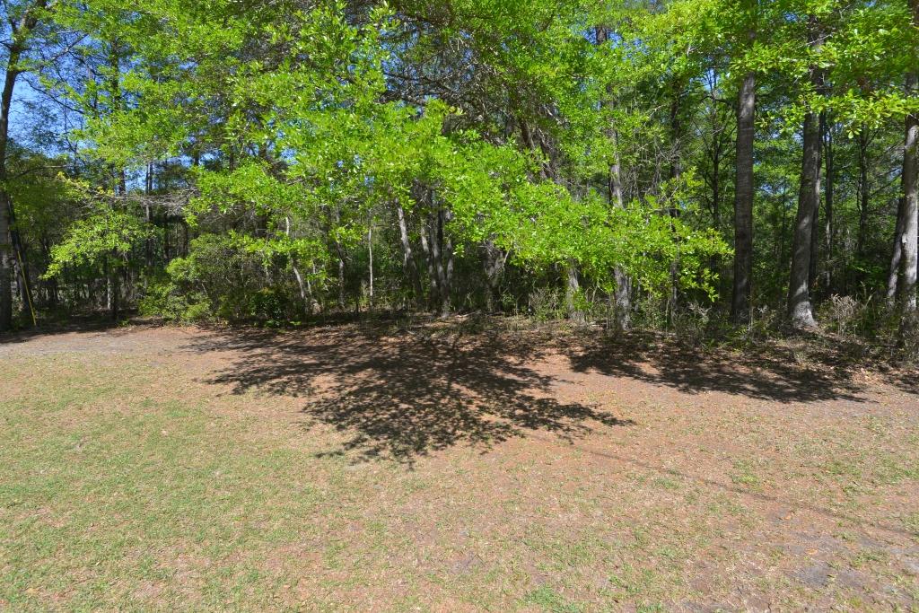 5852 Scott White Road Hollywood, SC 29449 - Photo 12 of 13 Yard