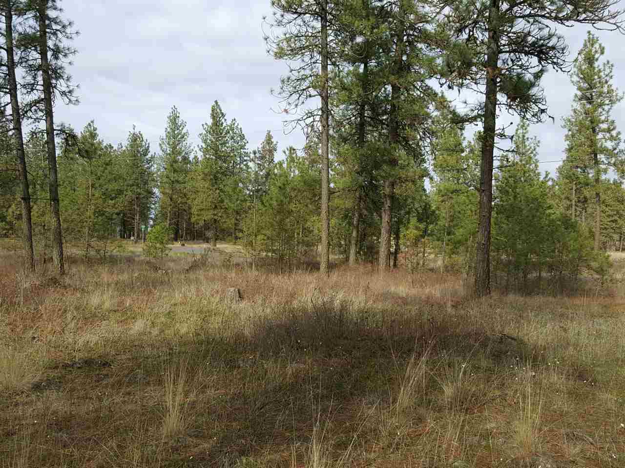 17701 South Robinette Drive Cheney, WA 99004 - Photo 20 of 20