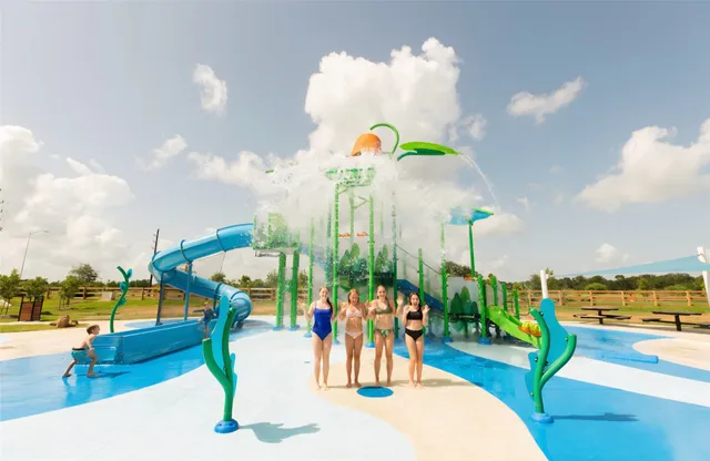 $253,000 | 1130 Blue Stone Drive, Beasley, TX 77417