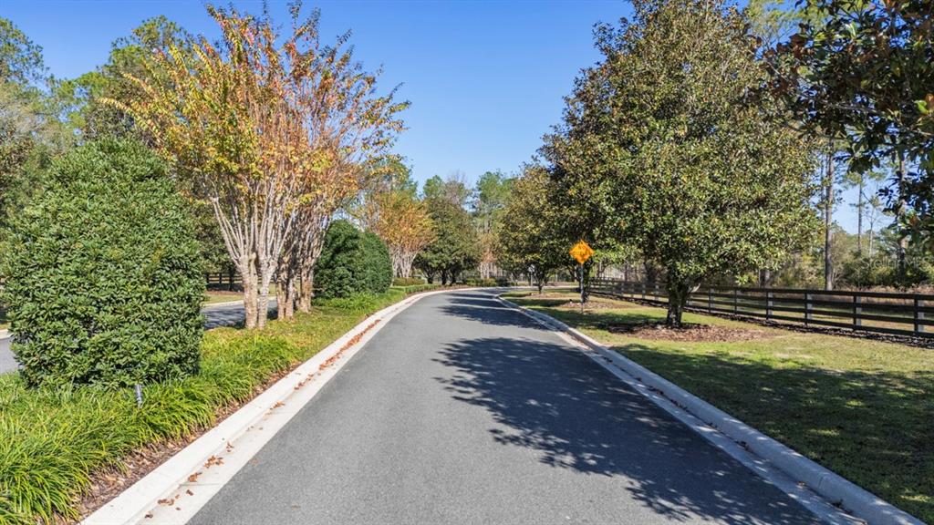 24238 Deep Springs Loop Eustis, FL 32736 - Photo 5 of 9