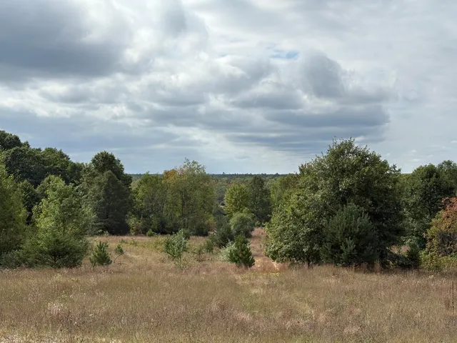 $320,000 | 7267 South Snyder Road Southwest, Fife Lake, MI 49633