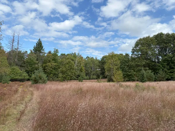 $320,000 | 7267 South Snyder Road Southwest, Fife Lake, MI 49633