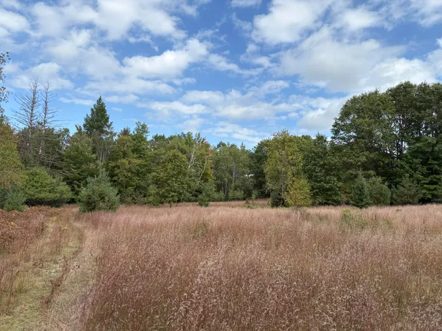 $320,000 | 7267 South Snyder Road Southwest, Fife Lake, MI 49633