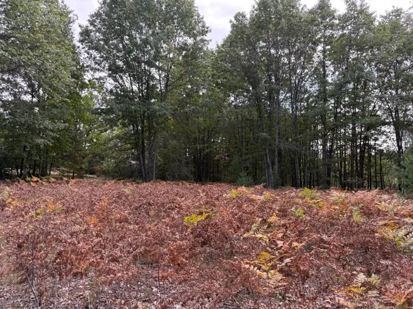 $320,000 | 7267 South Snyder Road Southwest, Fife Lake, MI 49633